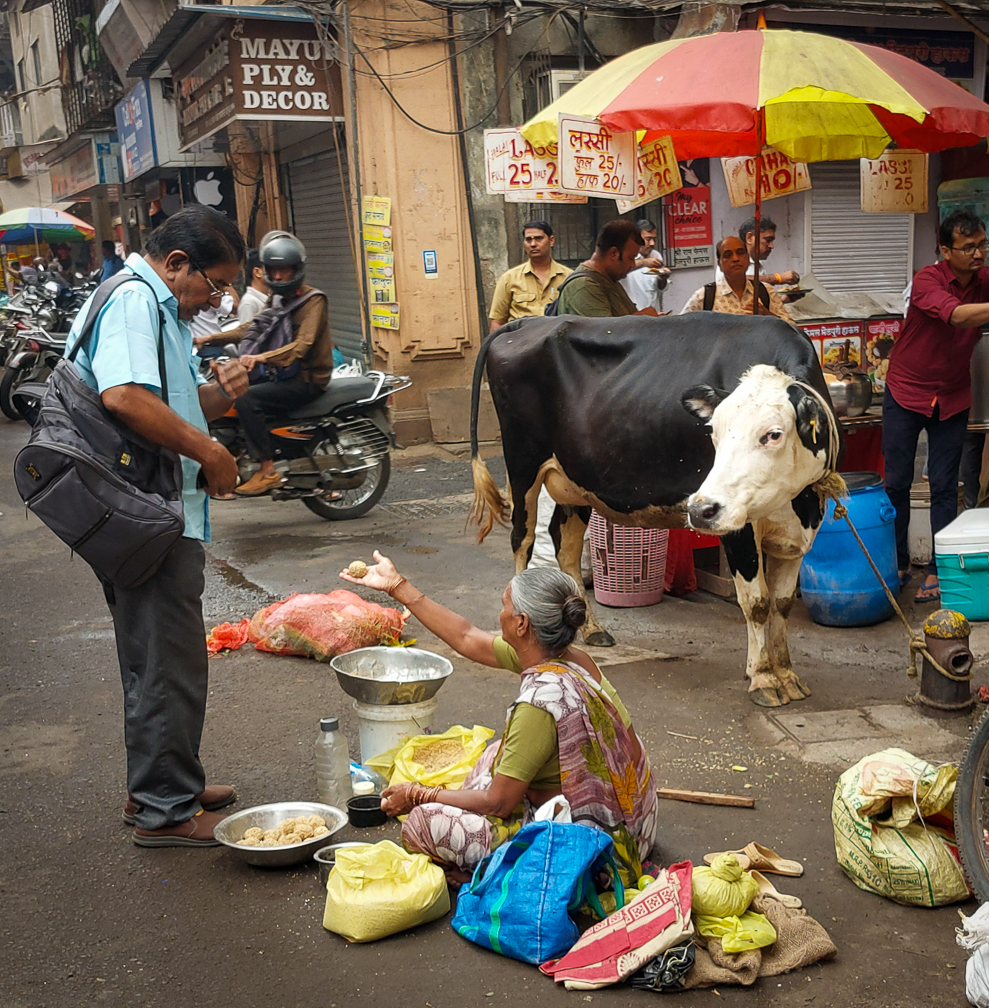 <span  class="uc_style_uc_tiles_grid_image_elementor_uc_items_attribute_title" style="color:#ffffff;">buying, selling, bagging, cows, a little bit chaotic</span>